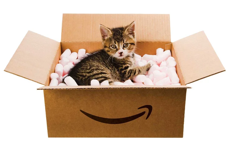 Cat in an Amazon box